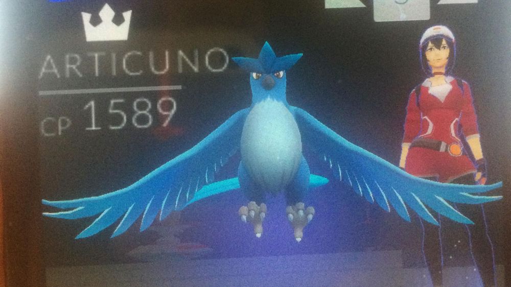 Articuno è stato catturato in Pokémon Go pokemon_go_legendary_articuno.jpg