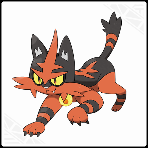 torracat.png