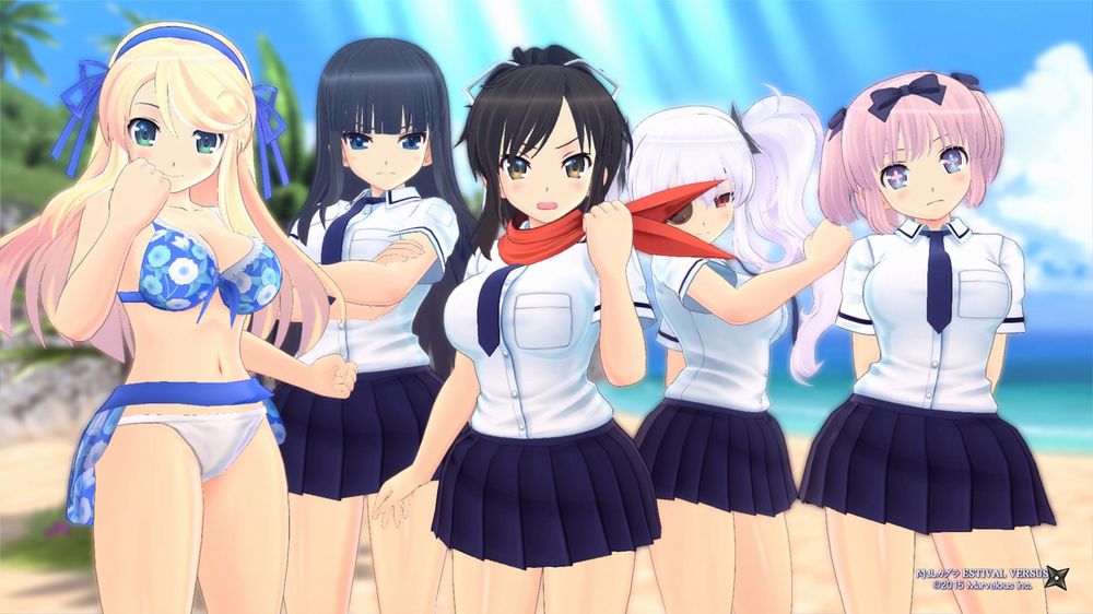 senran-kagura-estival-versus-recensione-schermata-06.jpg senran-kagura-estival-versus-recensione-schermata-06.jpg