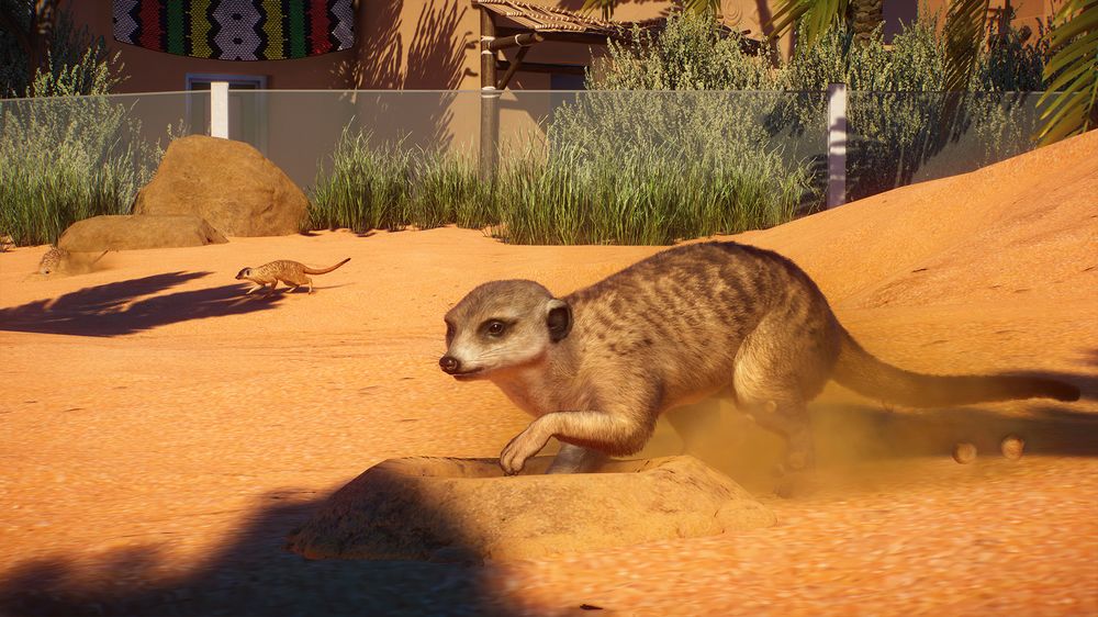 Uno sguardo al nuovo Africa Pack di Planet Zoo