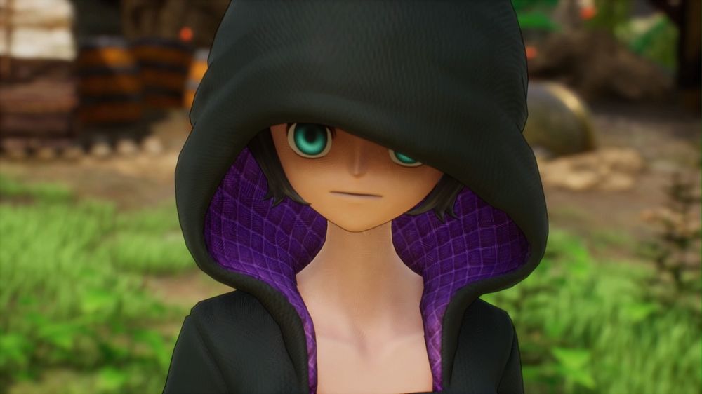 One Piece DLC One Piece DLC