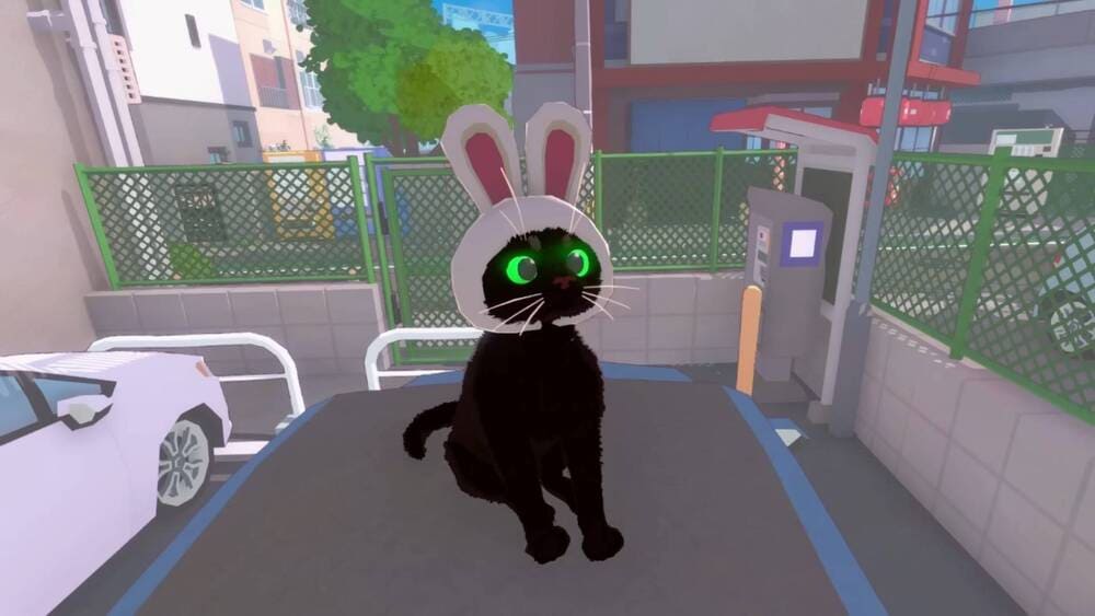 Pronti a vivere la famosa "vita da gatto"?