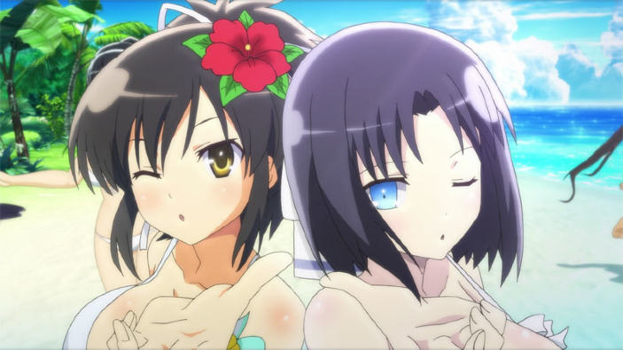 Senran Kagura: Peach Beach Splash arriverà quest'estate!