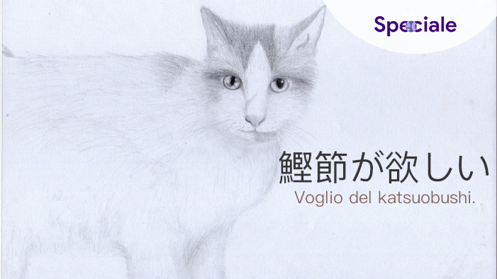 <strong>Neko ni Katsuobushi</strong> di Ottobre 2020