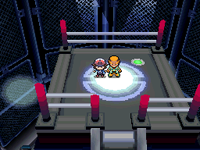 Pokémon Nero Rece Immagine 2