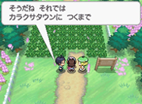 Pokémon Bianco Rece Immagine 6