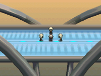 Pokémon Bianco Rece Immagine 9